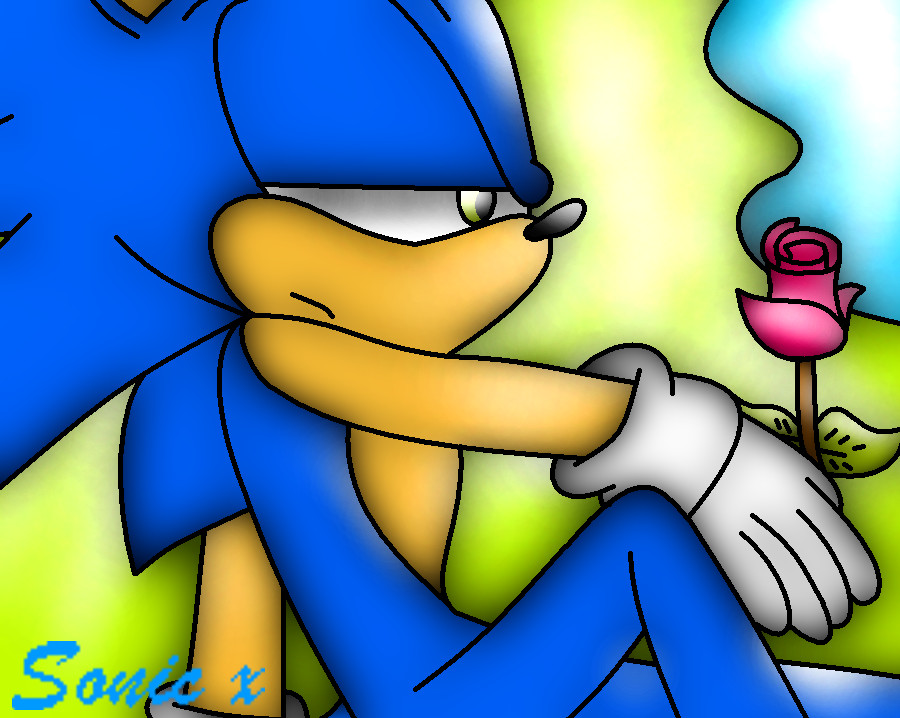 Sonic x