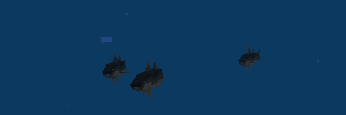 A school of fish