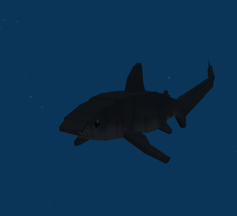Thresher shark