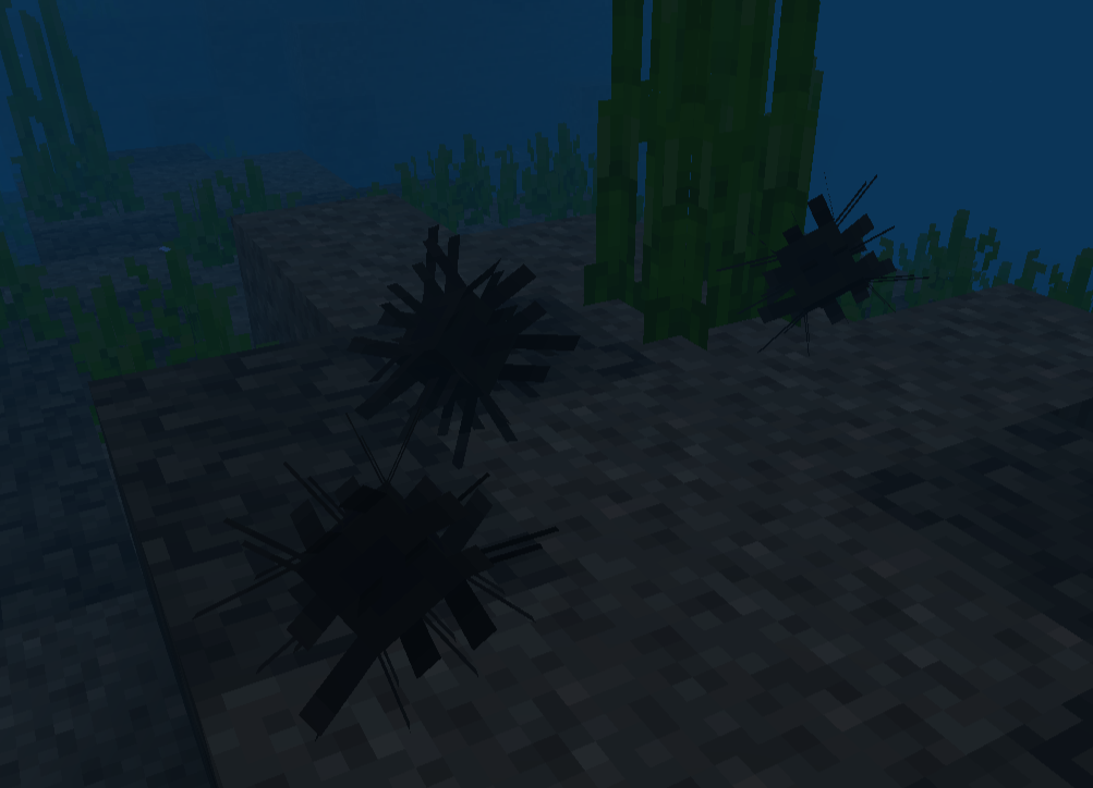 Sea urchins