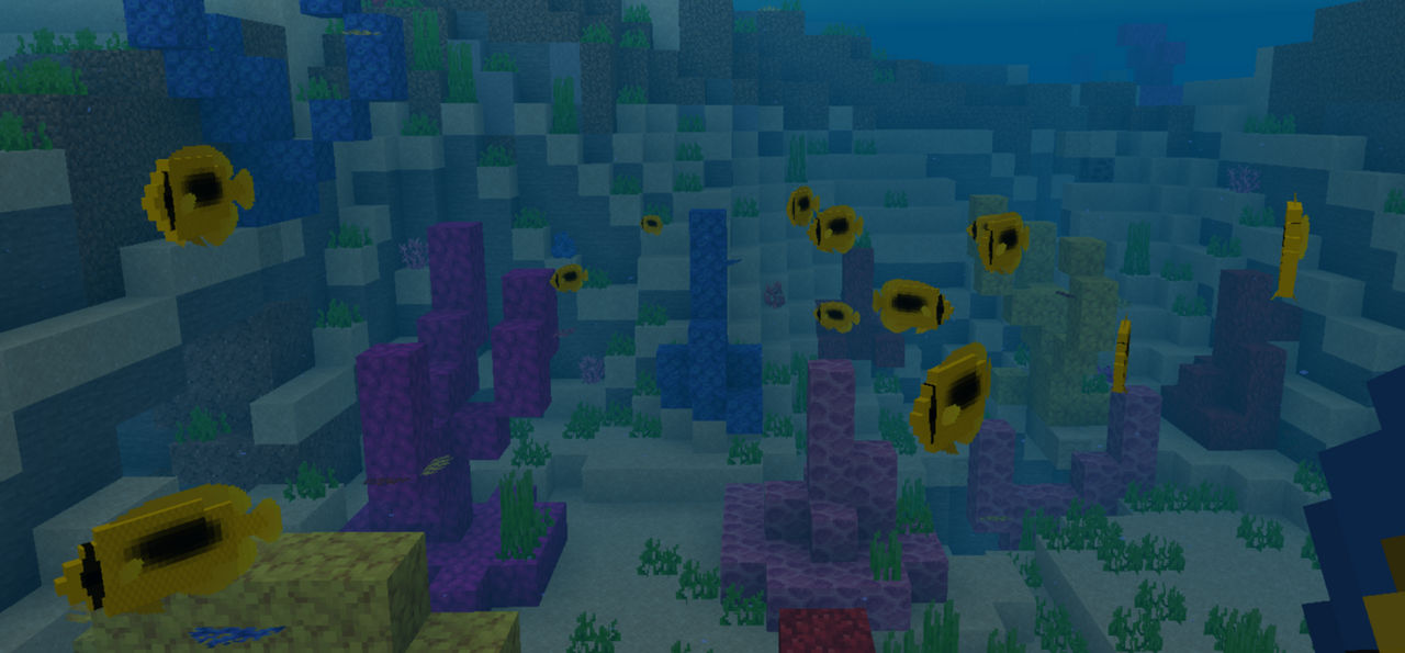 Mirror butterfly fish