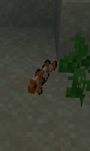 It's just a regular clownfish?