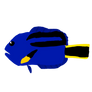 Hippo tang