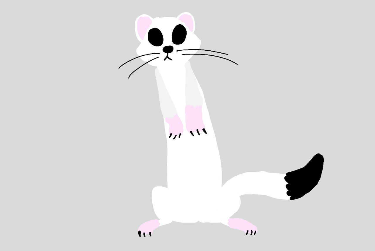Ermine