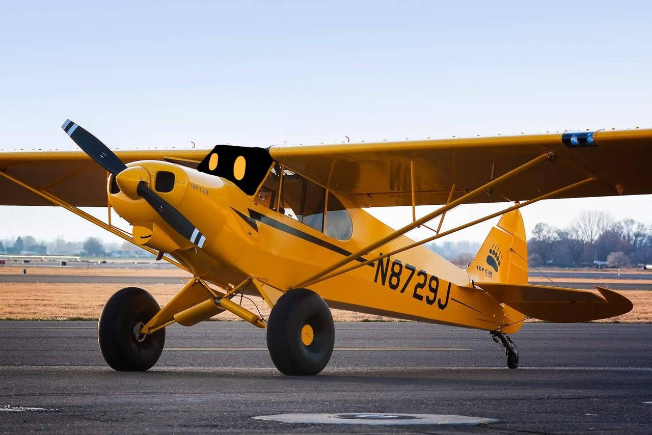 Piper PA-18 super cub
