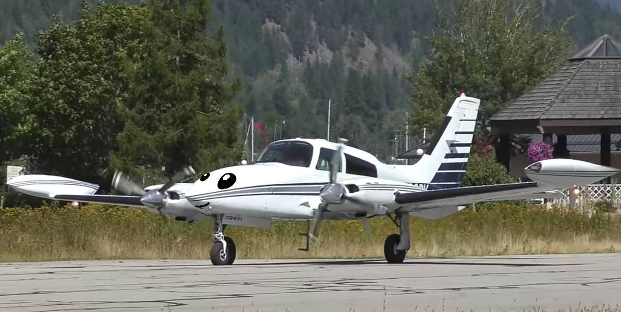 Cessna 310