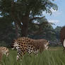 New Colombian Mammoth update (Ecos La Bera)