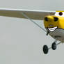 Reims-Cessna F172M Skyhawk