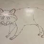 Raccoon