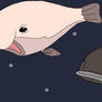 Blobfish