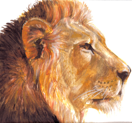 Lion - card