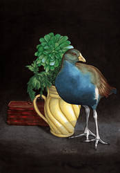 Still Life with Native Hen