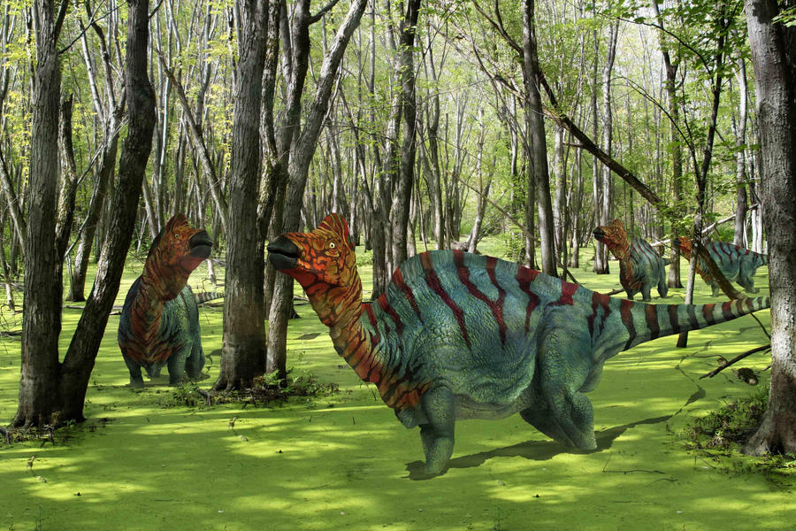 corythosaurs