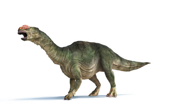 muttaburrasaurus