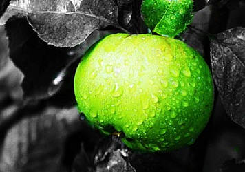 Juice-green of July rain