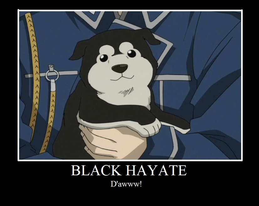 Black Hayate