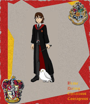 Ilias Farstrider from Hogwarts Adventure