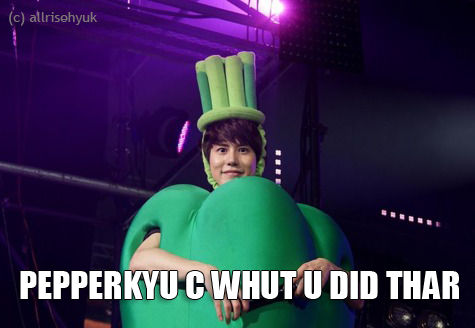 Kyuhyun SJ Macro