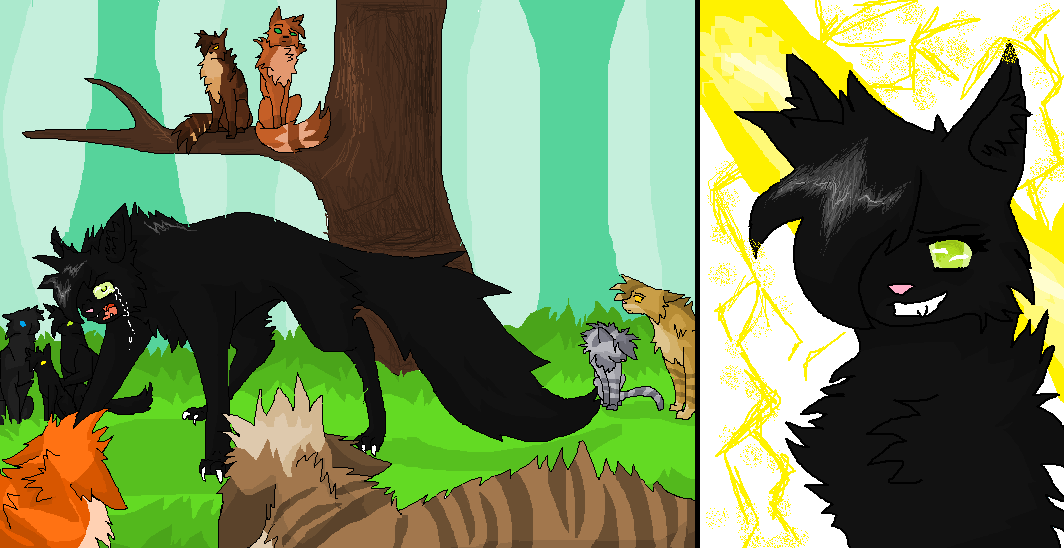 The Warrior Code- Hollyleaf by Gabbycat17 