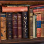 A real Myst book - library