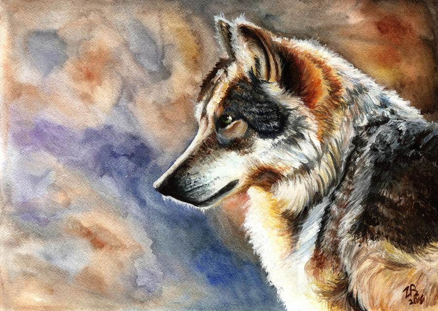 Wolf By Zarielcharoitite On DeviantArt