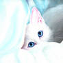 white Cat