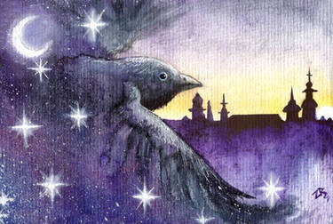 On the Wings of the Night