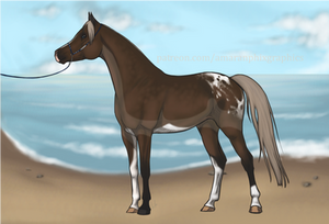De ja vu by Amaranphix De ja vu by Amaranphix