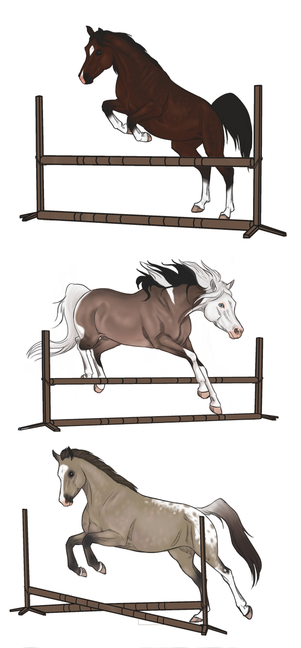 Deviantart Animal Jumping Jump Training by Amaranphix on DeviantArt