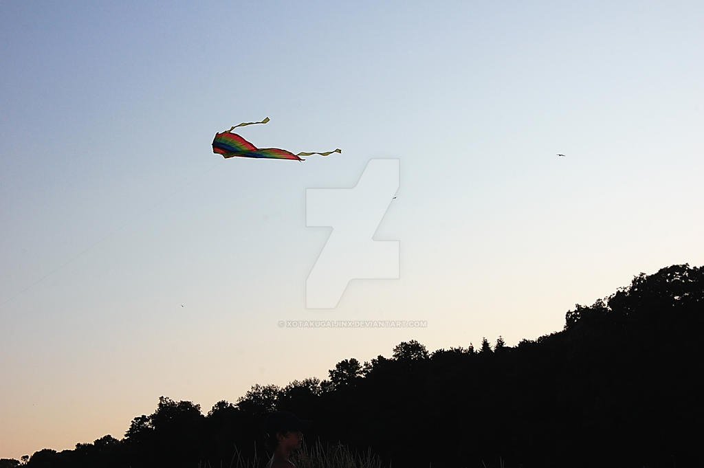 untitled kite photo