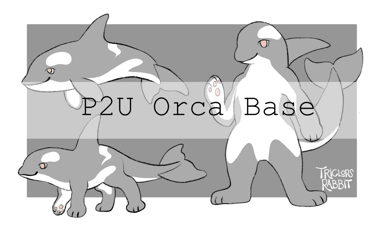 Orca Base by owlapin-adopts on DeviantArt