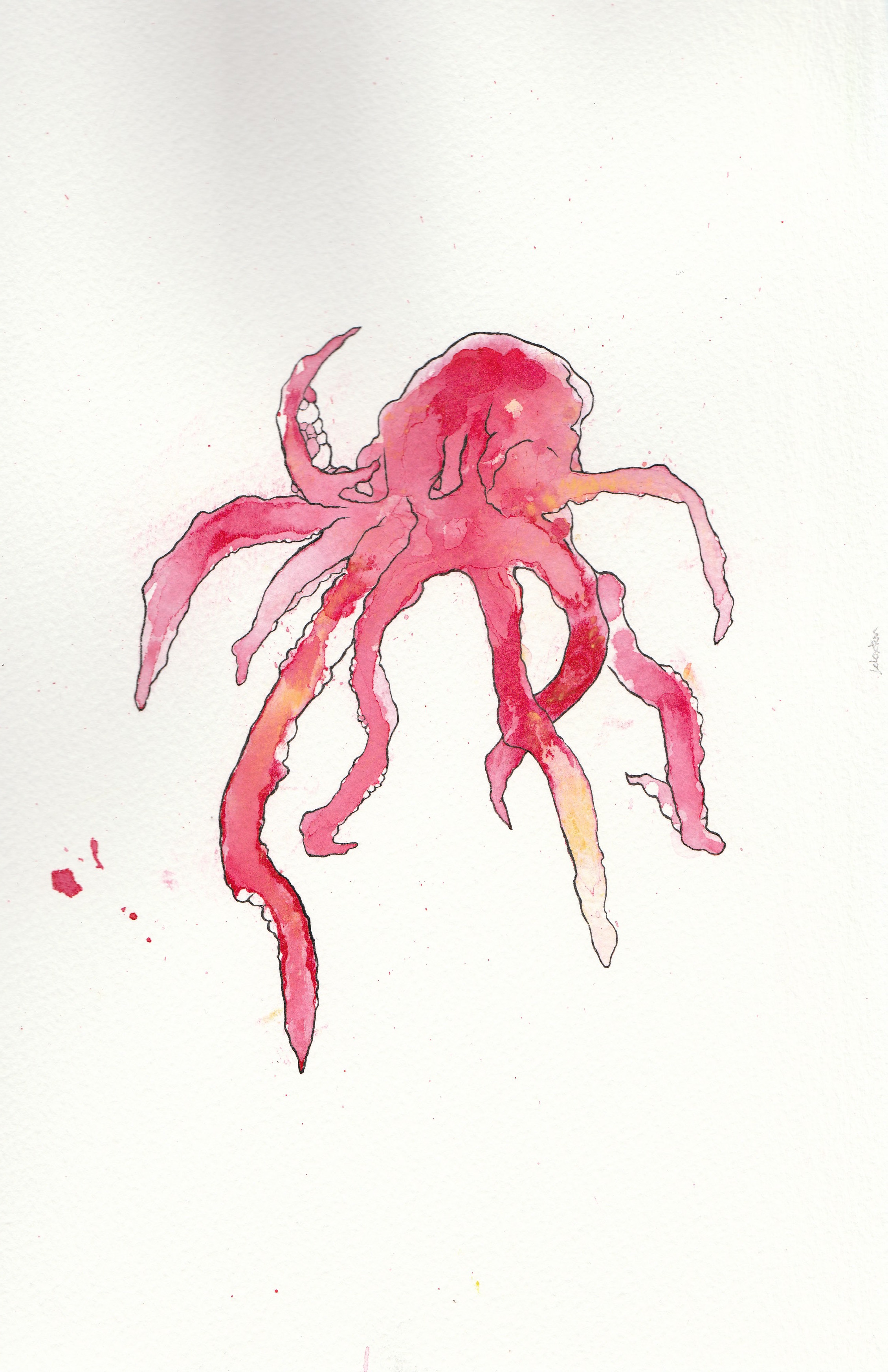 Octopus Ink Drawing by JCClaxton on DeviantArt