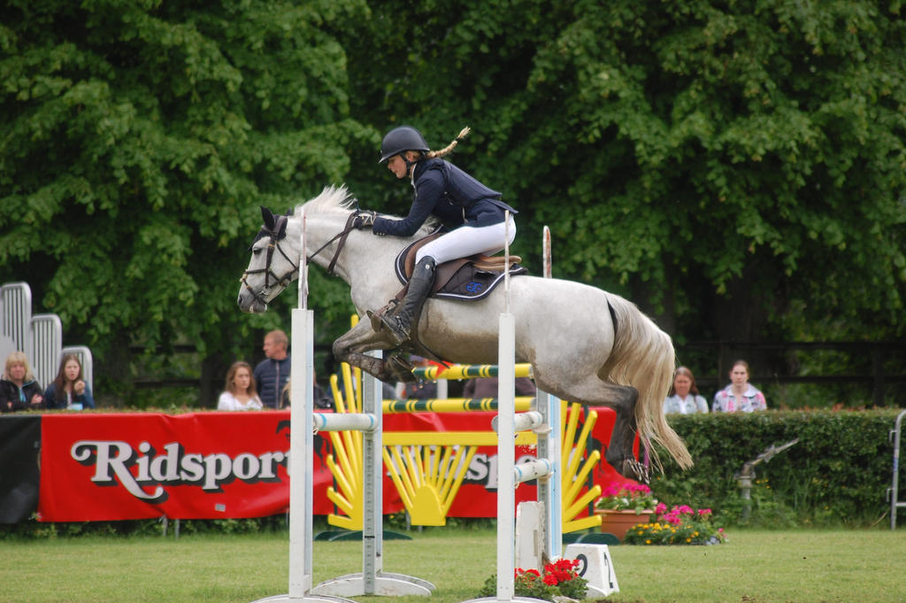 Showjumping