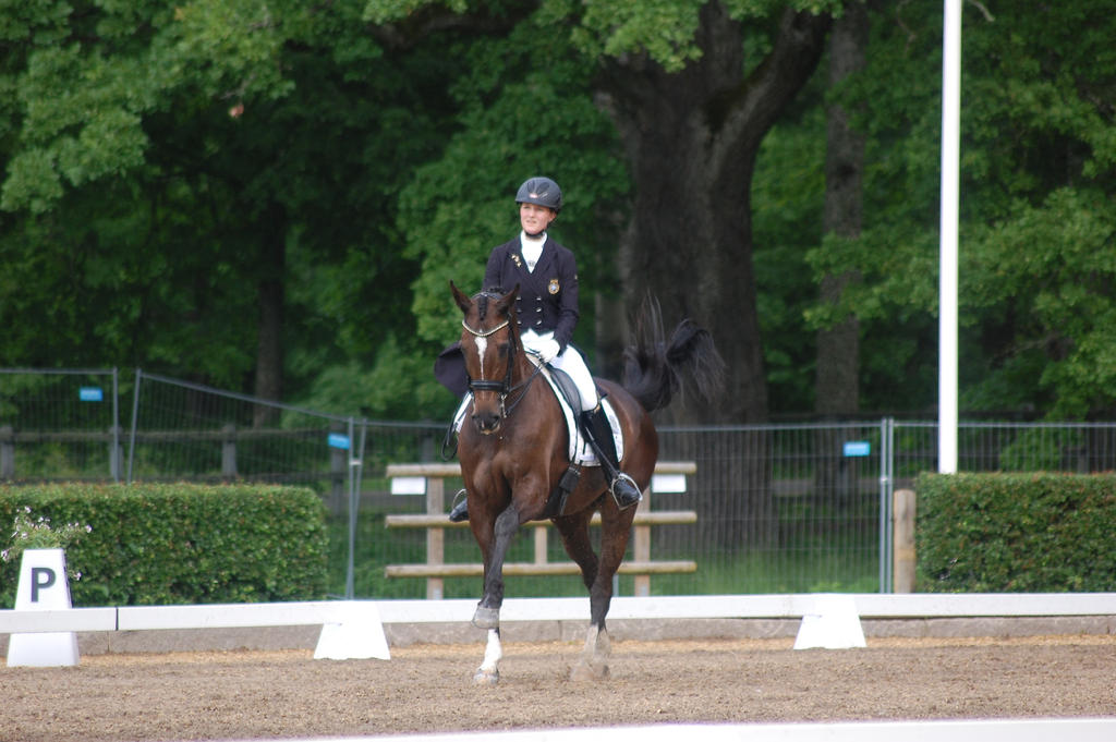 Dressage