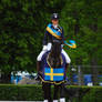 Dressage