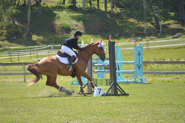 Show Jumping