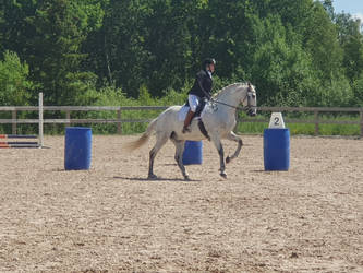 Working Equitation