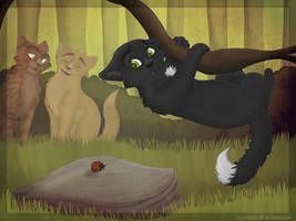 Poor little Ravenpaw