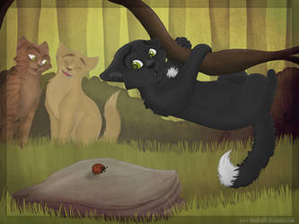 Poor little Ravenpaw