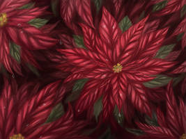 Poinsettia