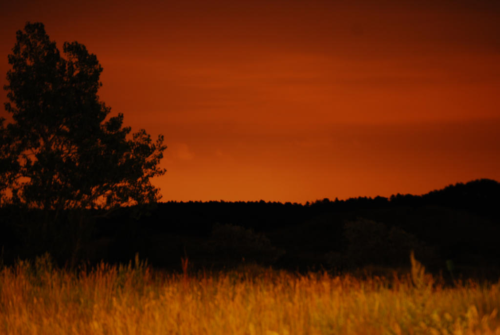 Dunes at night