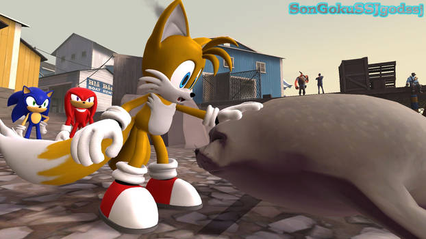 Sonic Frontiers: The Final Horizon Fanart by SonicAndre -- Fur