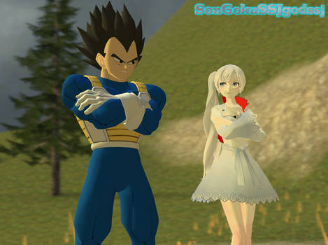 Vegeta and Weiss by SonGokuSSJgodssj