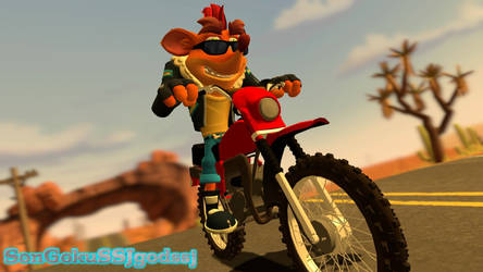 Bandicoot rider