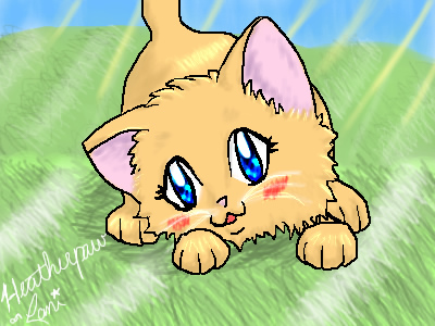 Heatherpaw :: Breezy WindClan