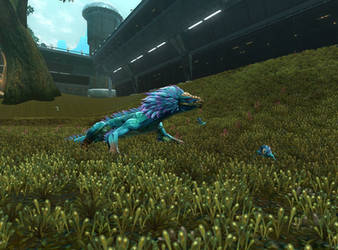 swtor varactyl babys by cacharoth