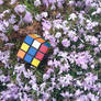 Blooming Rubik