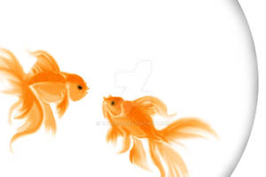 GoldFish Gossip