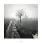 - The Path - by UNexperienced