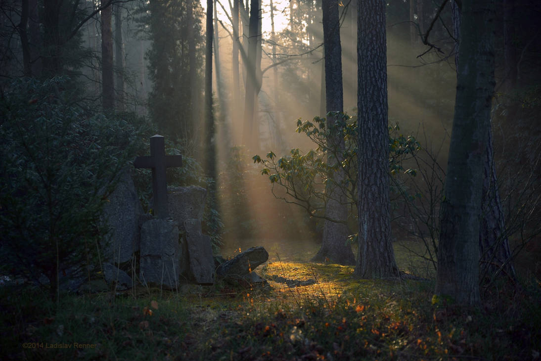 - Forest Cemetery - by UNexperienced